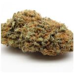 Шишки AK47 (Гидропоника, Бошка) VHQ в Чебоксарах Шишки AK47 (Гидропоника, Бошка) VHQ в Чебоксарах