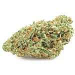 Шишки OG Kush (Гидропоника, бошки) VHQ в Чебоксарах Шишки OG Kush (Гидропоника, бошки) VHQ в Чебоксарах